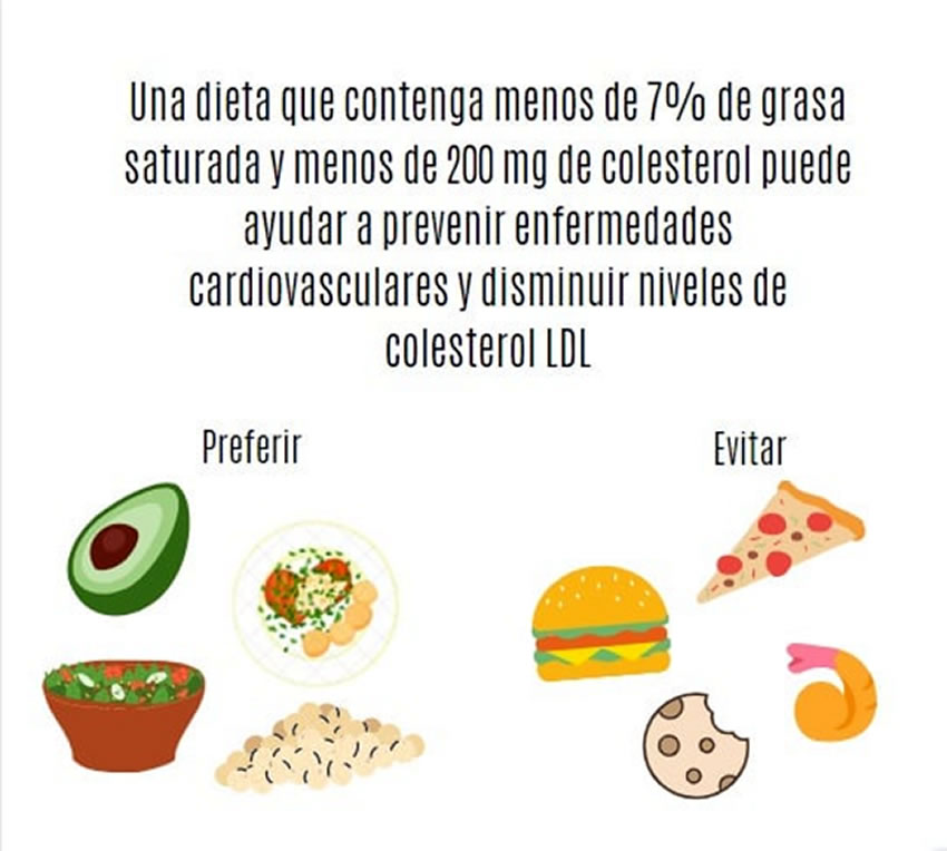 Nutricion e hipercolesterolemia 2